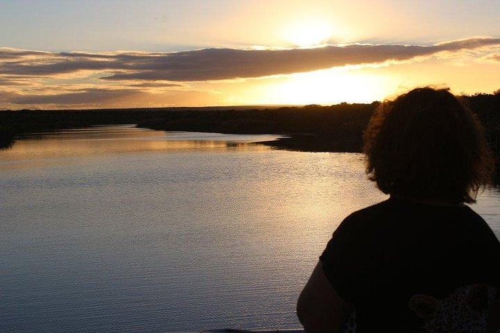 Addo Elephant National Park and Sunset River Cruise - FD04 - Photo 1 of 16